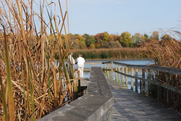 Lynde Shores Conservation Area in Durham near Oshawa