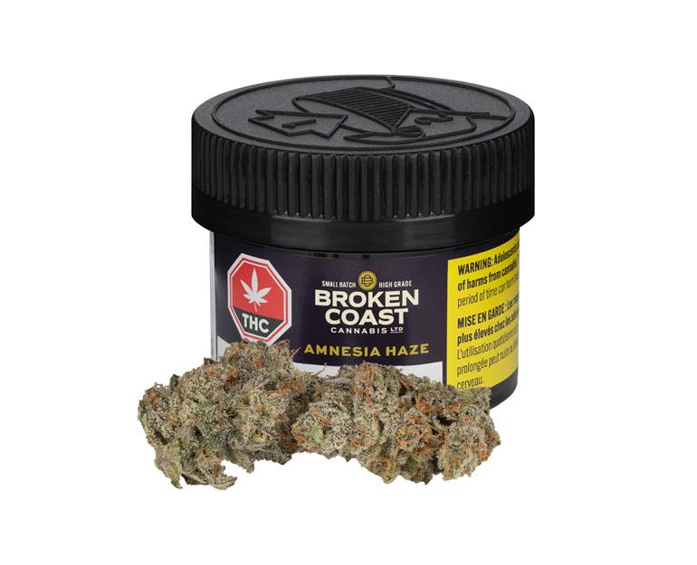 Broken Coast Amnesia Haze Dried Flower Sativa Strain