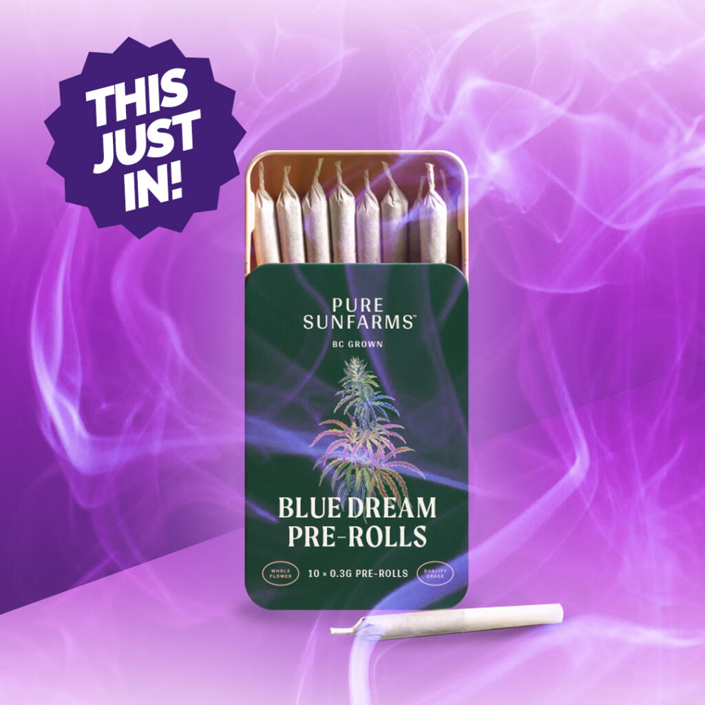 pure sunfarms blue dream prerolls new arrivals at purple moose cannabis