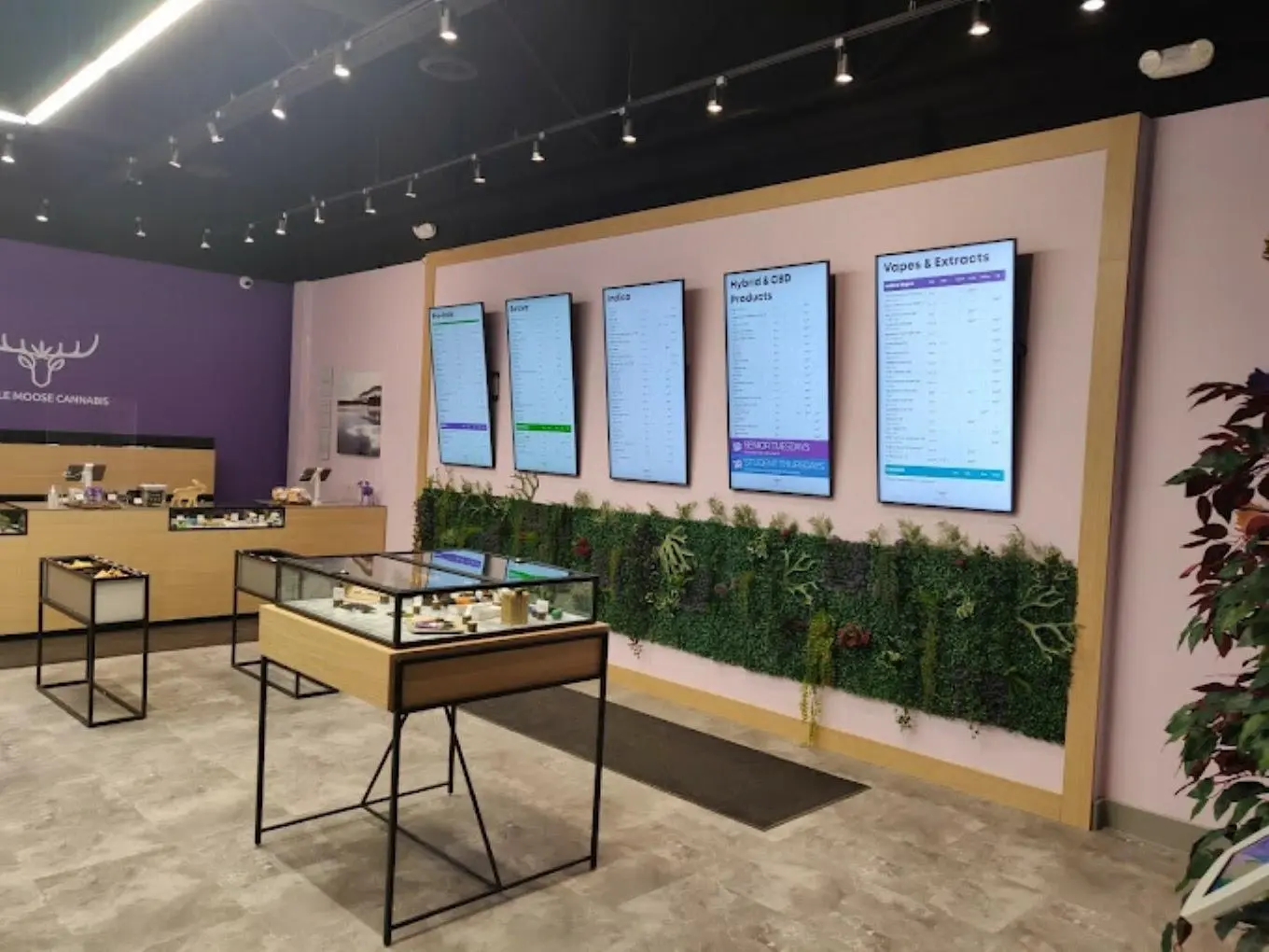elfbar nachfüll pod läuft aus Purple Moose Weed Store North York: Best Cannabis Near You