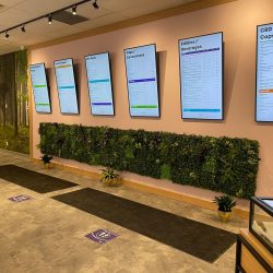 Live plants and TV screen displays at Purple Moose Cannabis Dispensary Lawrence