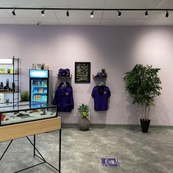 A wall displaying products and accessories at Purple Moose Cannabis Lawrence location